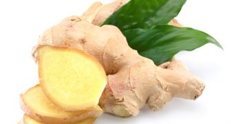 Asthma patients could breathe more easily with the help of ginger root, study finds