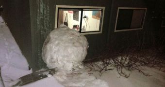 Oversized snowball causes thousands of dollars in damage in Portland