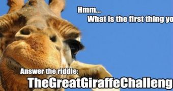 A giraffe challenge goes viral on Facebook