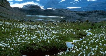 Arctic landscaped may soon change forever