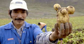 Have you ever seen an Eskimo potato farmer?