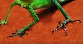 Global Warming Melts Off Lizards