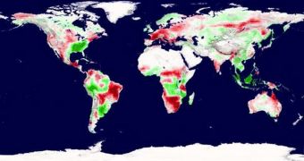 Graph showing worldwide vegetation productivity in 2003