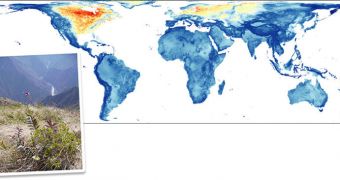 Species living in regions that experiencing rapid shifts in temperatures during the Last Glacial Maximum (yellow and red) die off in large numbers, but they held on in many hilly regions like the Andes (inset)