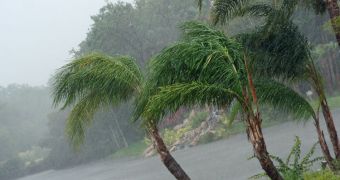 Global warming will boost the intensity of tropical precipitations considerably