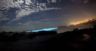 Bioluminescence is a trait that co-evolved in numerous land- and sea-dwelling species