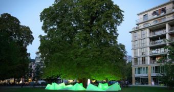 Tree in Berlin makes music by allowing its chestnuts to fall on the ground