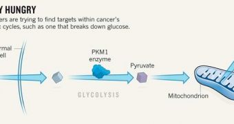 Researchers are analyzing ways of using cancer cells' gluttonous nature against them