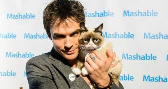 Ian Somerhalder wants people to adopt cats, not buy them