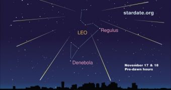 This sky map shows where to look to see the Leonid meteor shower of 2010 on Nov. 17-18.
