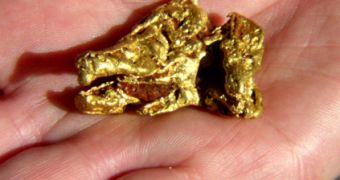 A gold nugget that may not be worth it after all