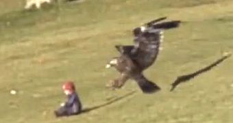 Moment in which an eagle allegedly grabs a toddler