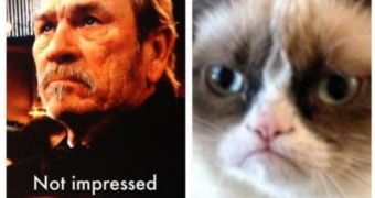 Tommy Lee Jones could easily be the human version of Grumpy the Cat