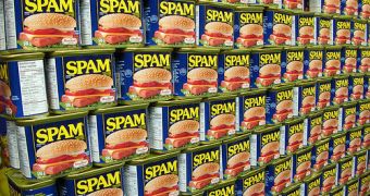 Google to focus even more on webspam and low quality websites