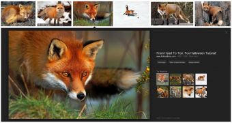 "Try these too" feature in Google Image Search