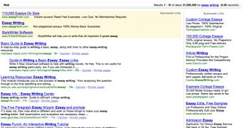 The Google SERP showing essay writing services