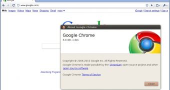 Google Chrome 6.0.401.1 dev