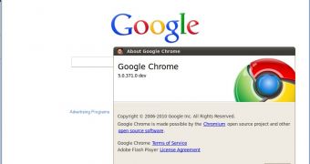 Google Chrome 5.0.371.0 dev