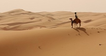 Google Collects Liwa Desert Images with Camel Trekker