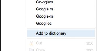 You can add custom words to the spell-check dictionary in Google Docs now