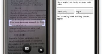 Google Goggles 1.1 includes translation features