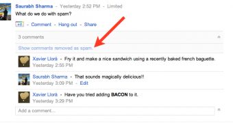 Google+'s new way of handling comment spam