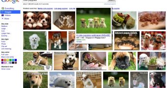 The new Google Image Search interface, as exemplified by cute puppies