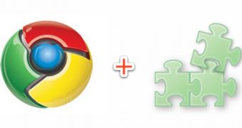 Google Chrome + extensions