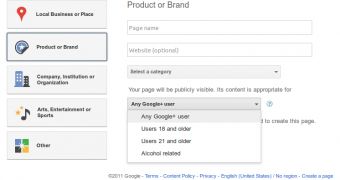 Google+ requires page admins to specify the age of those their pages target