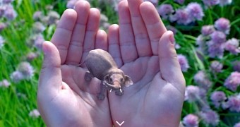 Google, Qualcomm, Others Invest $542 Million in Virtual Reality Company Magic Leap
