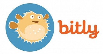 Bitly and Google have fixed the issue