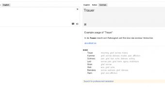 The new feature on Google Translate