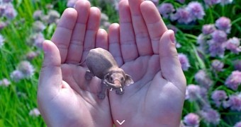 Google Will Invest in Virtual Reality Tech Company Magic Leap
