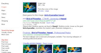 Google's improved Search by Image in action
