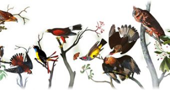 Google's doodle celebrating John James Audubon's birthday