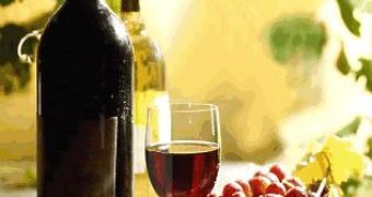 Grapes, Red Wine Hold the Key to Fighting Prostate Cancer