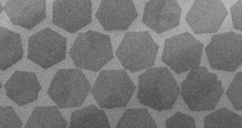 This scanning electron microscope picture shows individual crystal "grains" in a graphene array
