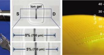 Flexible graphene transistors developed
