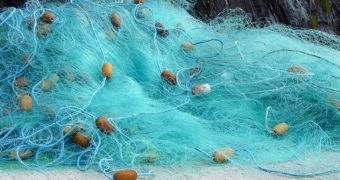 Environmentalists collect 20 tons of fishing nets from the bottom of the North Sea