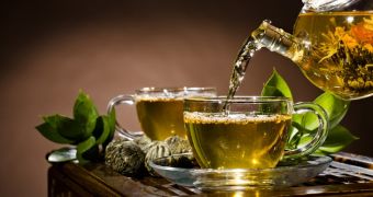 Study finds compounds in green tea fight pancreatic cancer