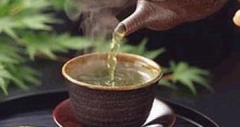 Green Tea Could Help to Protect Brain Cells