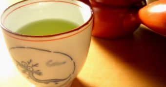 Green tea modulates the effects of cigarettes on smokers' risk of developing lung cancer
