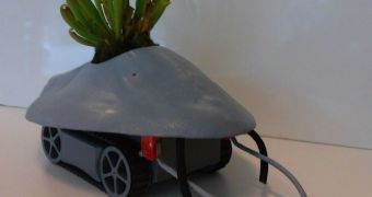 Home-made robots can help one grow bigger plants