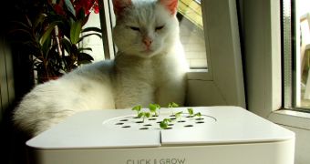 Click and Grow allows you to grow plants indoors without having to constantly look after them