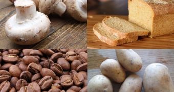 Green Tip: Use Coffee, Bread and Mushrooms to Make Meat