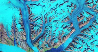 This computer model shows a few of Greenland's glaciers flowing towards the ocean