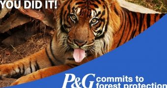 Greenpeace wants Procter & Gamble to cut all ties with forest destruction sooner than 2020
