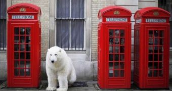 Greenpeace puts Londoners face to face with a polar bear