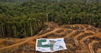 Greenpeace protest in Indonesia aims to convince P&G to play closer attention to where the palm oil it uses comes from