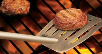 Woman uses grill spatula to beat her sister bloody